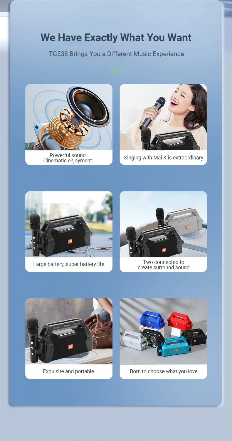 T&G TG538 Portable Bluetooth Speaker with Karaoke Microphone and Stereo Subwoofer