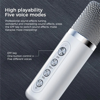 TASX YS-203 Portable Bluetooth Soundbox Speaker with Wireless Microphone
