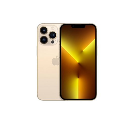 iPhone 13 Pro Services