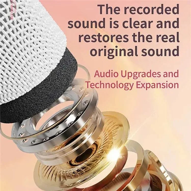 TASX C20 Plus Mini Karaoke Wireless Bluetooth Speaker with Microphone