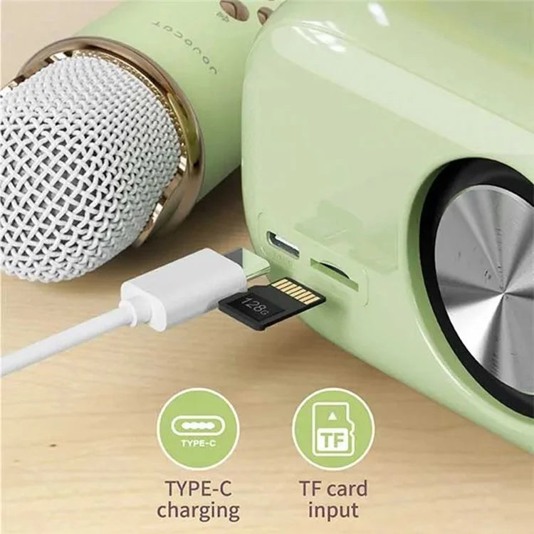 TASX C20 Plus Mini Karaoke Wireless Bluetooth Speaker with Microphone