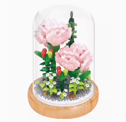 Carnation