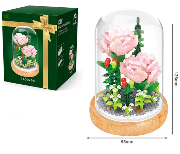 Carnation