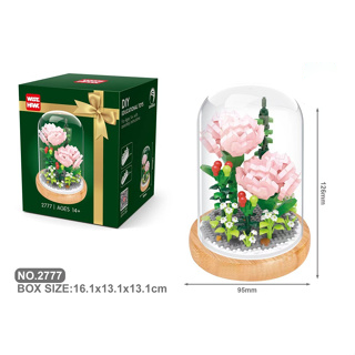 Carnation