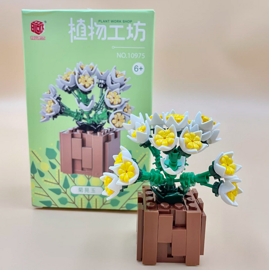 Chrysanthemum Glow